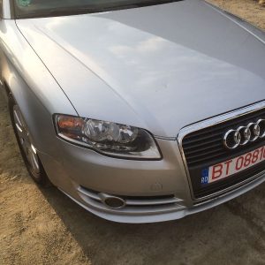 Usa dreapta spate Audi A4 B7 2006 - Dezmembrari Auto