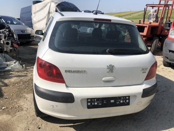Dezmembrari Peugeot 307 2 usi 1.4 hdi 8HZ din 2005 - Dezmembrari Auto - imagine 4