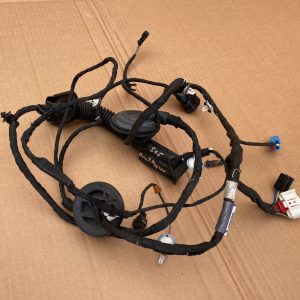 Instalatie electrica usa stanga fata Audi A4 B9 8W0971029AL 8W0 971 029 AL - Dezmembrari Auto