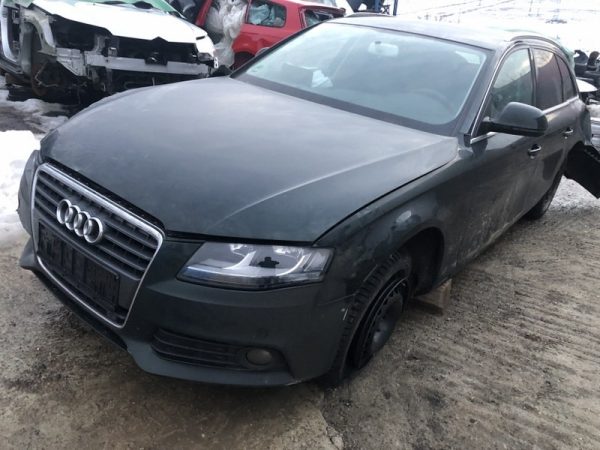Usa stanga fata Audi A4 B8 2009 variant 2.0 tdi CAG CAGA - Dezmembrari Auto