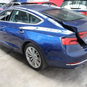 Usa stanga spate Audi A5 2018 F5 QUATTRO 3.0 tdi - Dezmembrari Auto